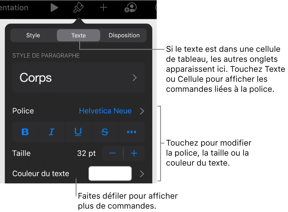 Commandes de texte du menu de format permettant de définir les styles, la police, la taille et la couleur des paragraphes et des caractères.