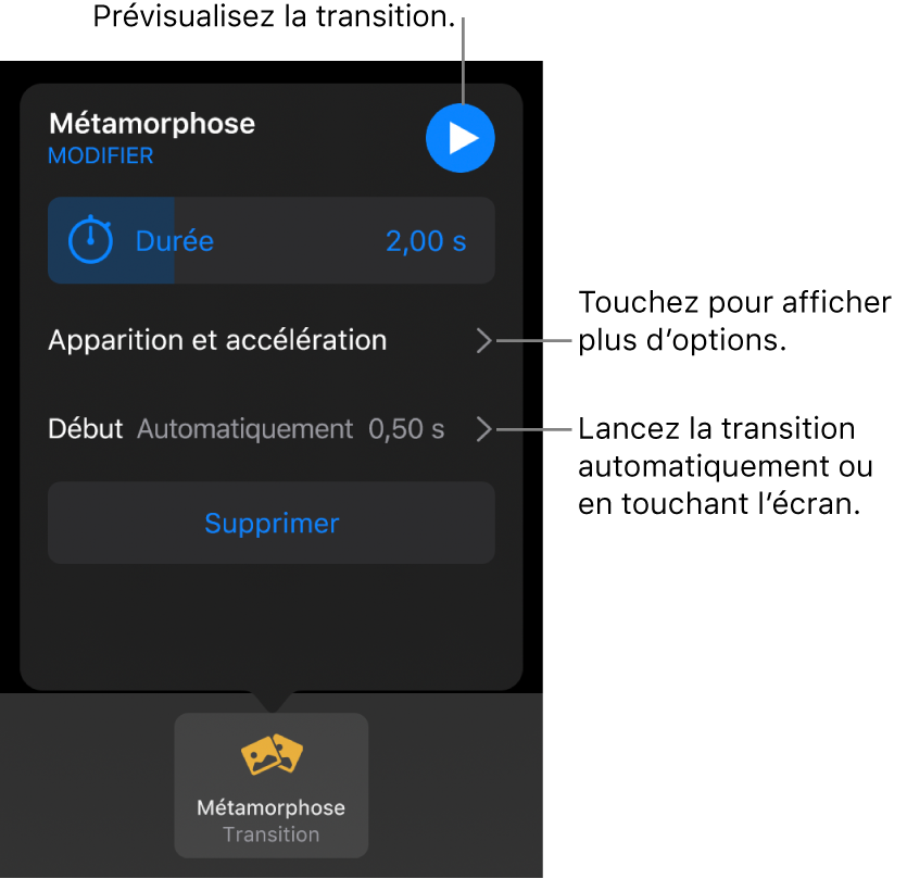 Commandes Métamorphose de la sous-fenêtre Transitions.