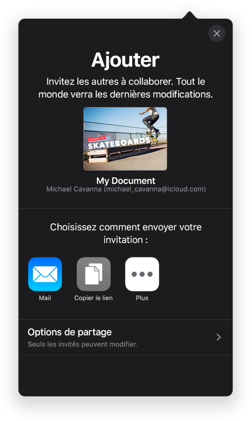 L’écran Ajouter affichant une image de la présentation à partager. Sous celle-ci se trouvent des boutons pour les différentes manières d’envoyer l’invitation, notamment Mail, « Copier le lien » et Plus. Le bouton « Options de partage » se trouve en bas.