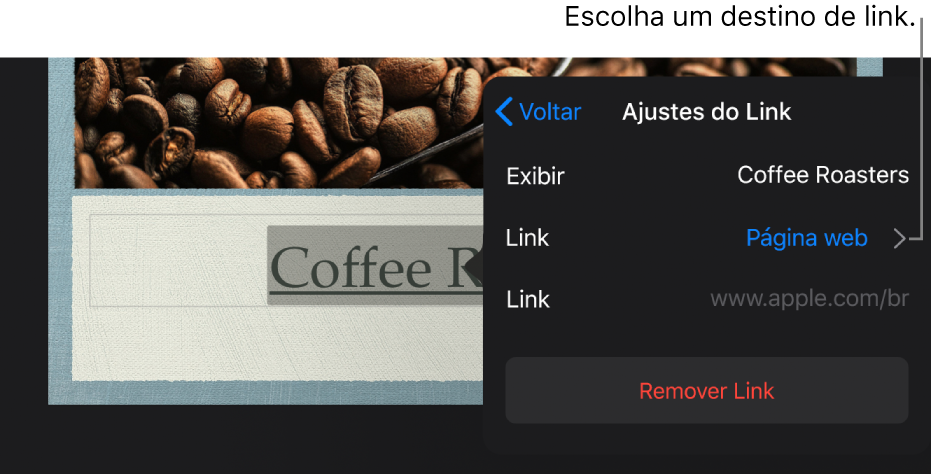 Popover “Ajustes do Link” com os campos Exibir, Link (definido como Página web) e Link. O botão Remover Link está na parte inferior.