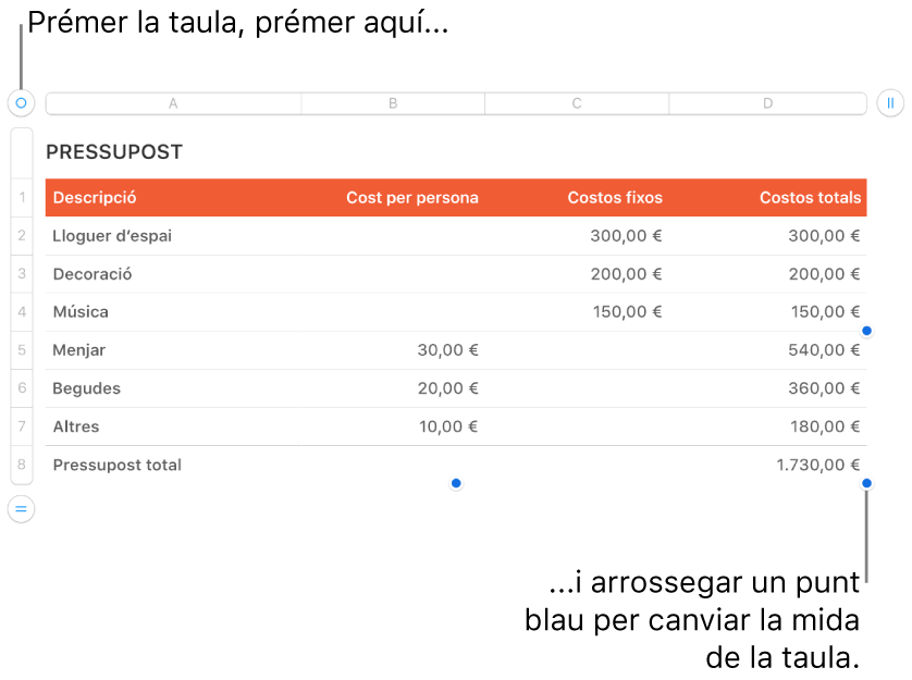 Una taula seleccionada, amb punt blaus per canviar-ne la mida.