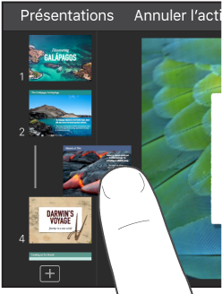 Image d’un doigt faisant glisser une vignette de diapositive dans le navigateur de diapositives.