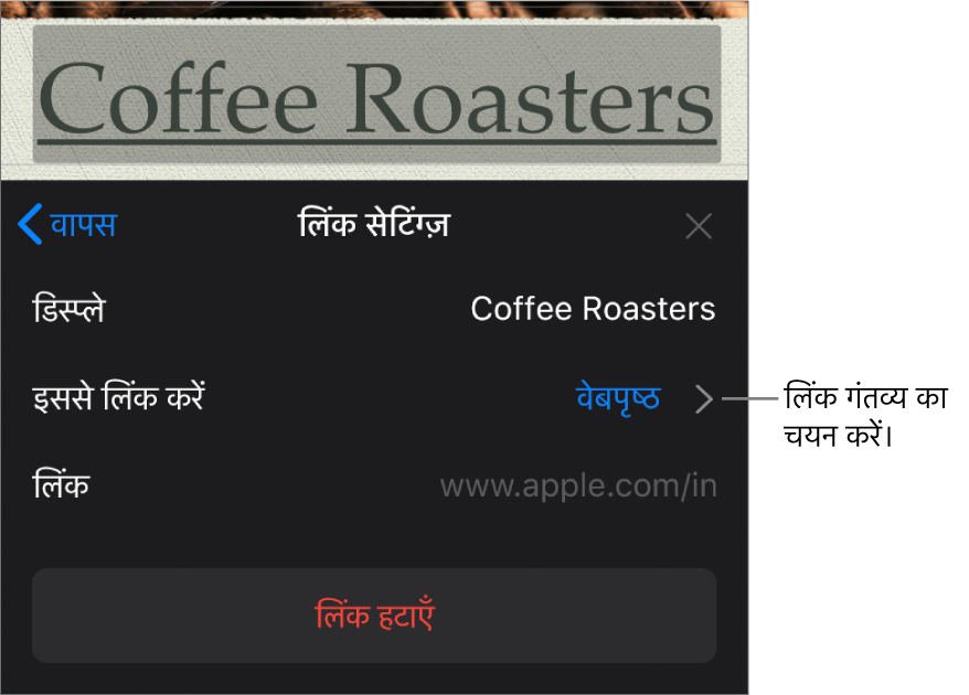 “प्रदर्शन” फ़ील्ड, “इससे लिंक करें” (चयनित सेट) और “लिंक” फ़ील्ड से लिंक सेटिंग्ज़ नियंत्रण करते हैं। “लिंक हटाएँ” बटन नियंत्रण के सबसे नीचे स्थित होता है।