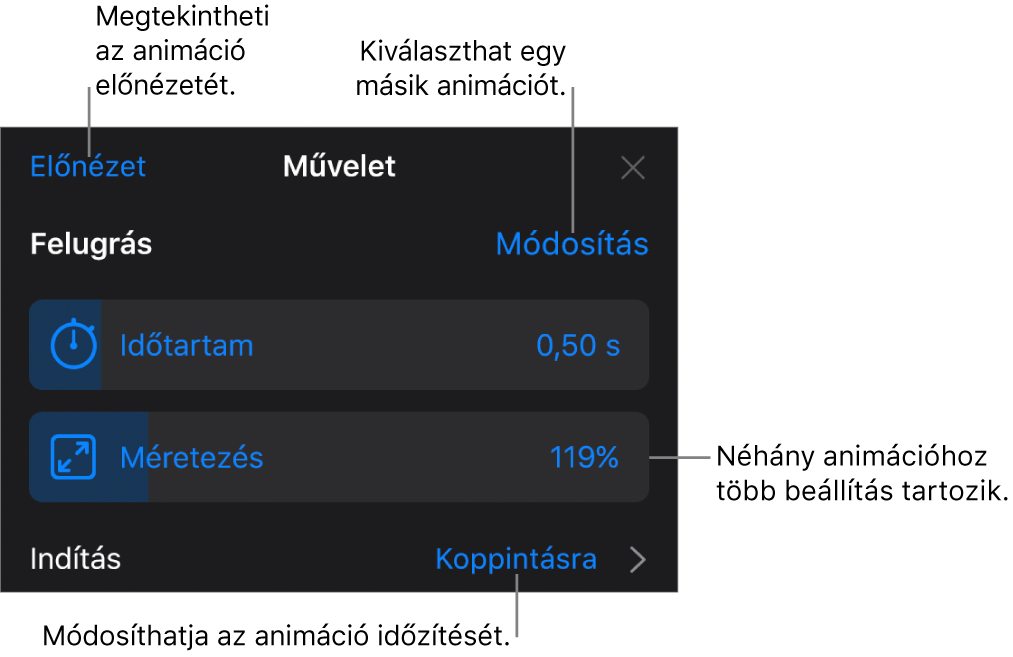 Az Animációra vonatkozóan megadhatja többek között az Időtartam és az Indítás időzítésének beállításait. Ha másik animációt szeretne választani koppintson a Módosítás lehetőségre, vagy az Előnézet lehetőségre koppintva megtekintheti az animáció előnézetét.