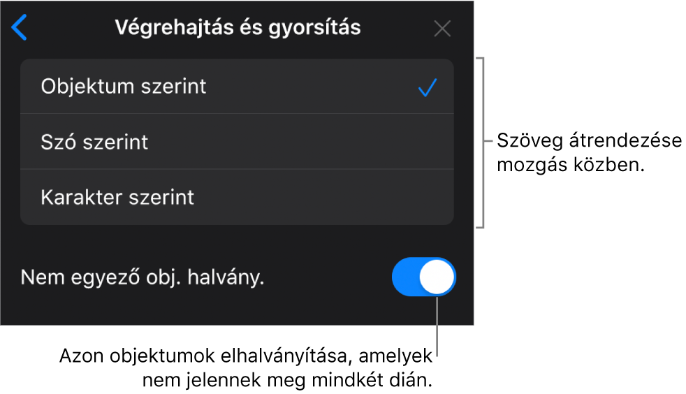 A Varázsmozgás végrehajtás és gyorsítás beállításai a Gyorsítás panelen