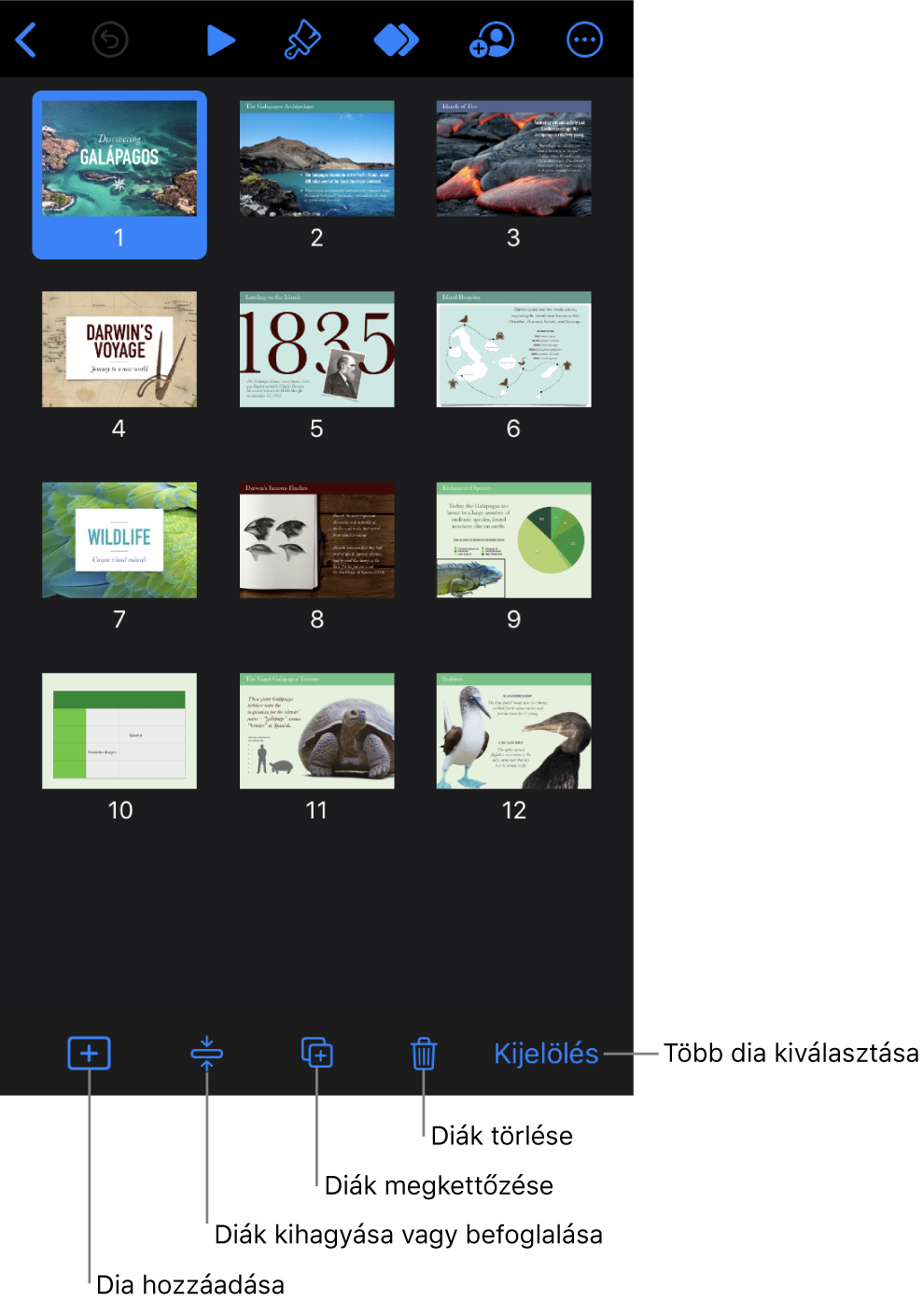 Az átvilágítóasztal-nézet a képernyő alján lévő gombokkal, amelyek diák hozzáadására, kihagyására, megkettőzésére és törlésére, illetve több dia kijelölésére használhatók.