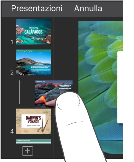 Immagine di un dito che trascina la miniatura di una diapositiva nel navigatore diapositive.