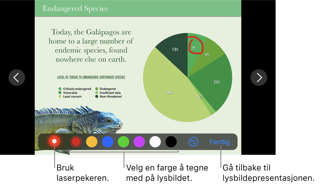 Et lysbilde i lysbildetegningmodus som viser laserpekeren og fargevalgskontroller.