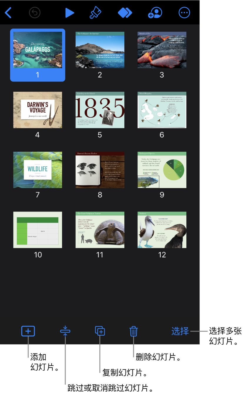 看片台视图，屏幕底部显示用于添加、跳过、复制和删除幻灯片以及选择多张幻灯片的按钮。