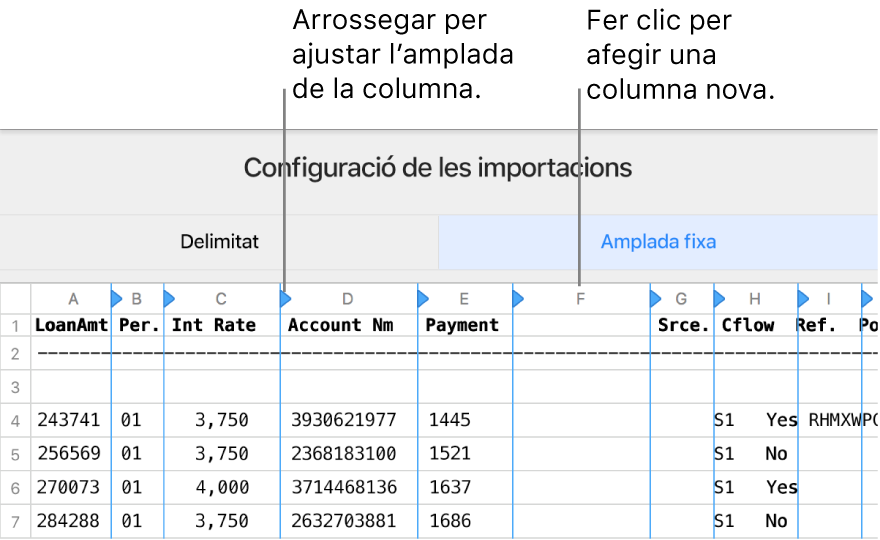 Els paràmetres d’importació d’un arxiu de text d’amplada fixa.