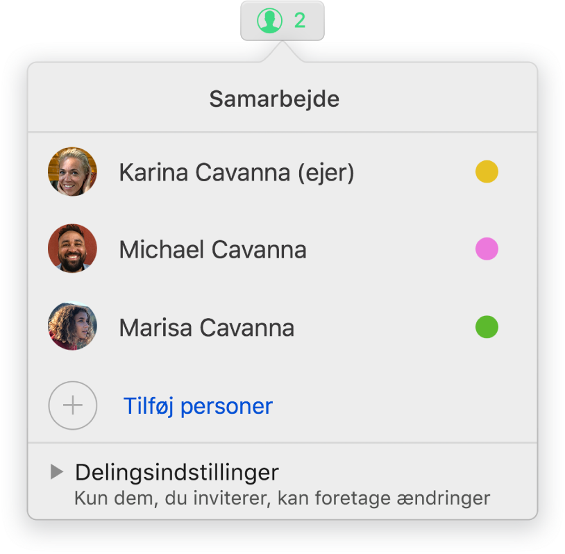 Menuen Samarbejde, der viser navnene på de personer, der samarbejder om regnearket. Under navnene vises delingsindstillinger.