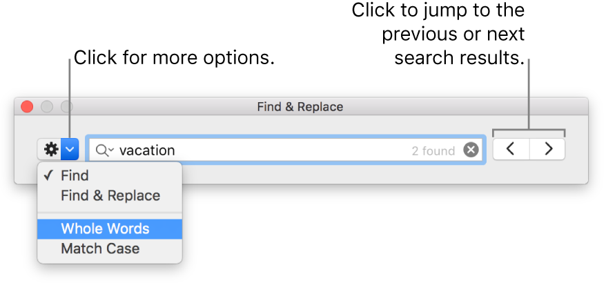 The Find & Replace window with callouts to the button to show options for Find, Find & Replace, Whole Words, and Match Case. Arrows on the right let you jump to the previous or next search results.