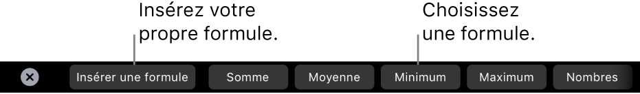 La Touch Bar d’un MacBook Pro affichant des commandes pour choisir parmi les formules courantes ou insérer la vôtre.