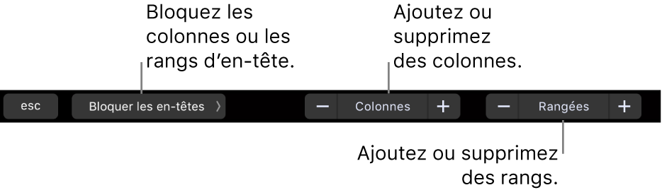 La Touch Bar d’un MacBook Pro affichant des commandes pour bloquer les rangées ou les colonnes d’en-tête et ajouter ou supprimer des rangées ou des colonnes.