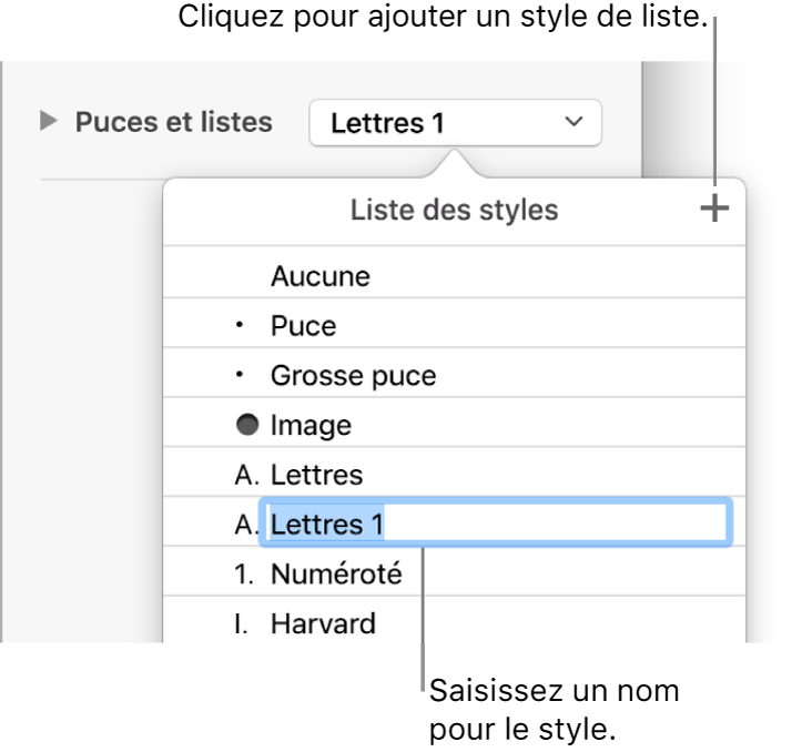 Le menu local « Liste des styles » avec un bouton Ajouter dans le coin supérieur droit et un nom de style de paramètre fictif avec son texte sélectionné.
