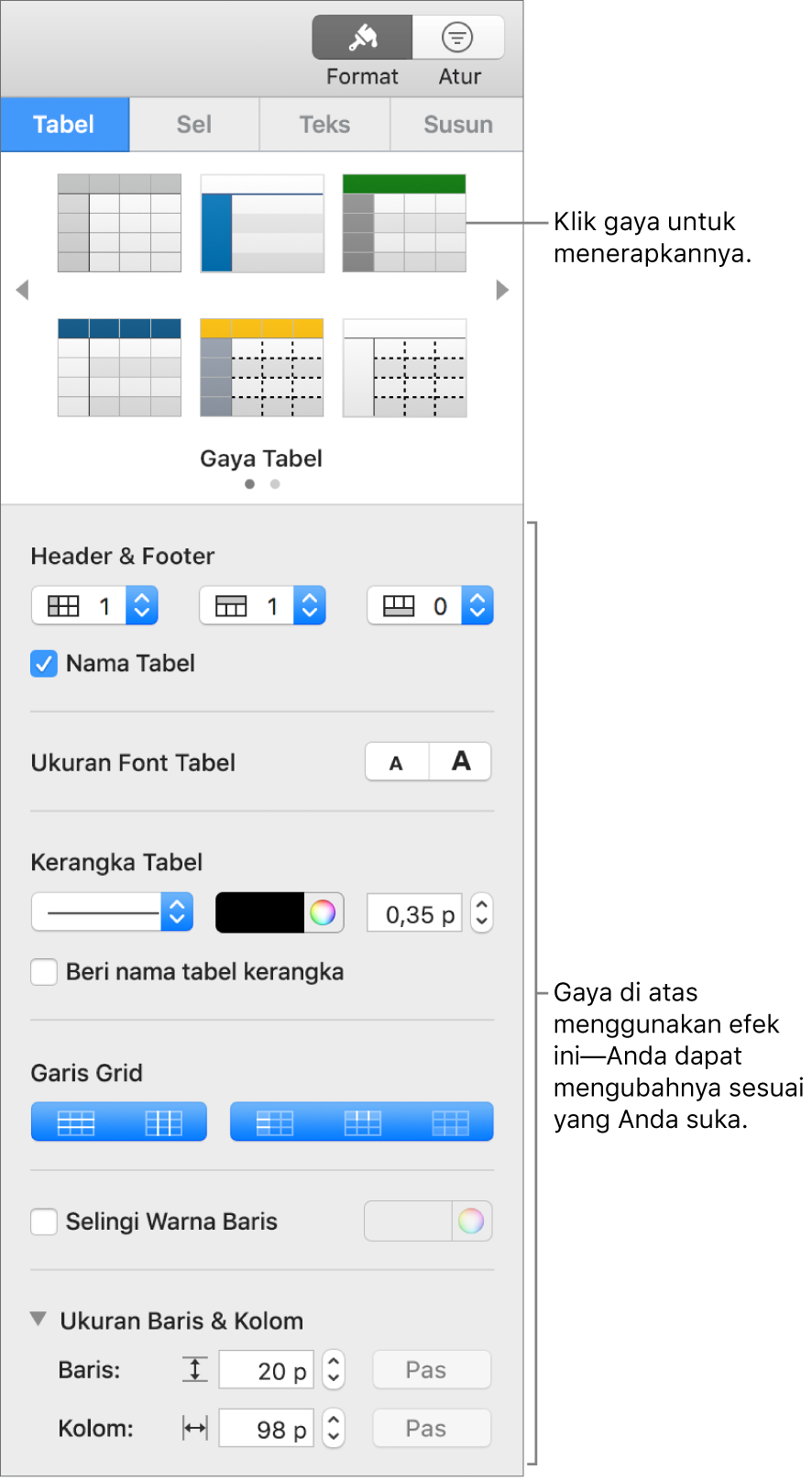 Bar samping Format menunjukkan gaya tabel dan pilihan pemformatan.