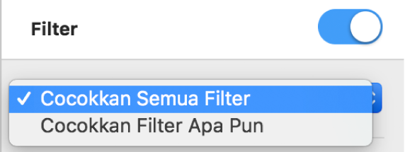 Menu pop-up untuk memilih antara menampilkan baris yang cocok dengan semua filter atau filter apa pun.