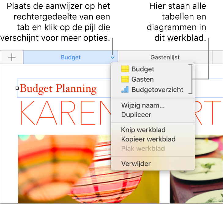 Een spreadsheettab met het contextuele menu geopend met daarin onder meer de optie 'Dupliceer'.