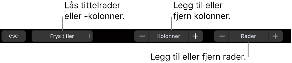 Touch Bar på MacBook Pro med kontroller for å fryse tittelrader eller kolonner, legge til eller fjerne kolonner, og legge til eller fjerne rader.