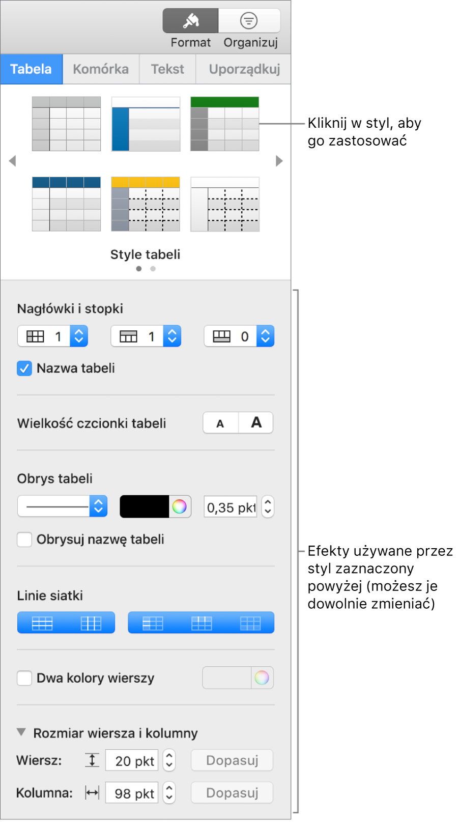Pasek boczny Format ze stylami tabeli i opcjami formatowania.