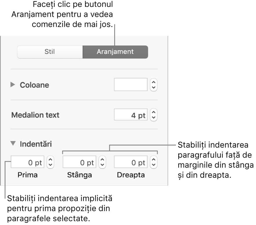 Secțiunea Aranjament a barei laterale Format afișând comenzi pentru configurarea indentării primei linii și a marginilor paragrafului.