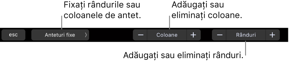 Bara Touch Bar de pe MacBook Pro cu comenzi pentru fixarea rândurilor sau coloanelor de antet, adăugarea sau eliminarea coloanelor și adăugarea sau eliminarea rândurilor.