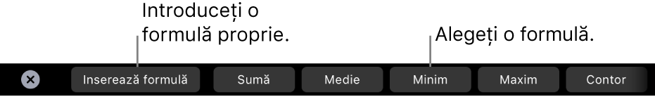 Bara Touch Bar de pe MacBook Pro cu comenzi pentru inserarea unei formule proprii și alegerea unei formule utilizate în mod obișnuit.