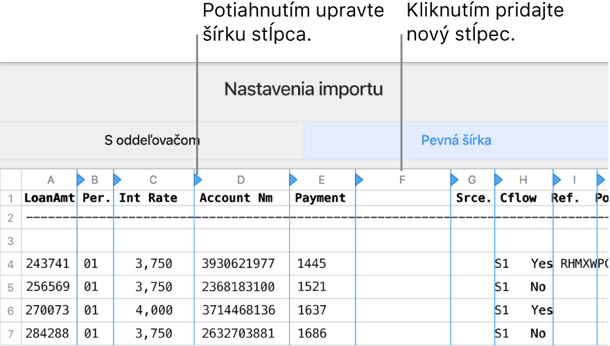 Nastavenia importu pre textový súbor s fixnou šírkou.