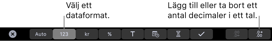 Touch Bar på MacBook Pro med reglage för att välja ett dataformat och för att lägga till eller ta bort decimaler från ett tal.