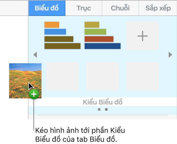 Kéo hình ảnh vào phần kiểu biểu đồ của thanh bên để tạo kiểu mới.