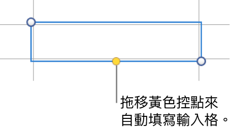選取的輸入格帶有黃色控點，你可以拖移來自動填滿輸入格。