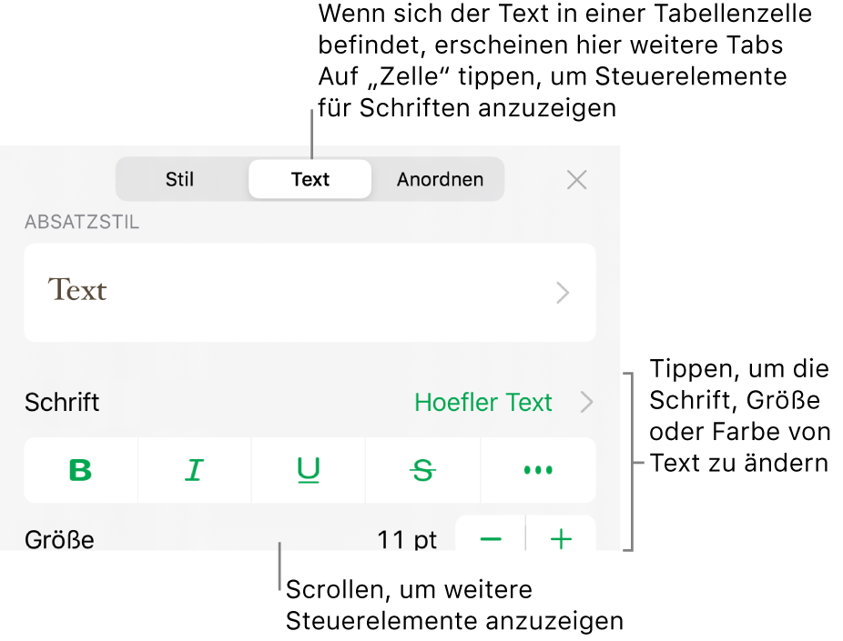 Textsteuerelemente im Menü „Format“ zum Festlegen von Absatz- und Zeichenstilen, Schrift, Größe und Farbe