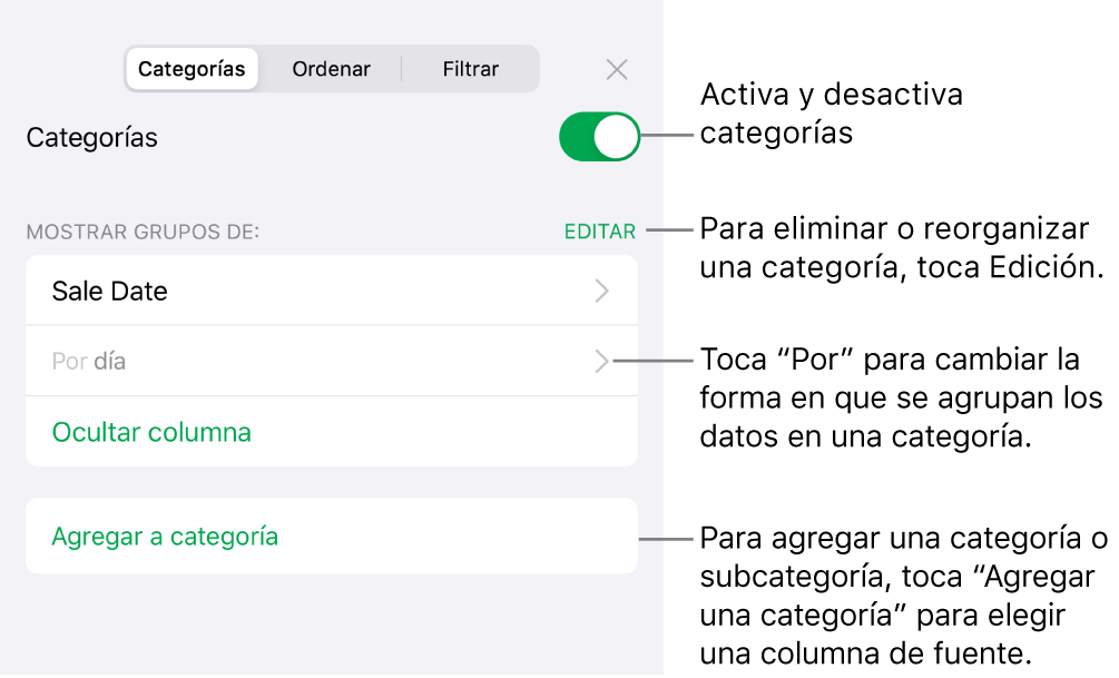 El menú Categorías del iPhone con opciones para desactivar las categorías, eliminar categorías, reagrupar datos, ocultar una columna origen y agregar categorías.