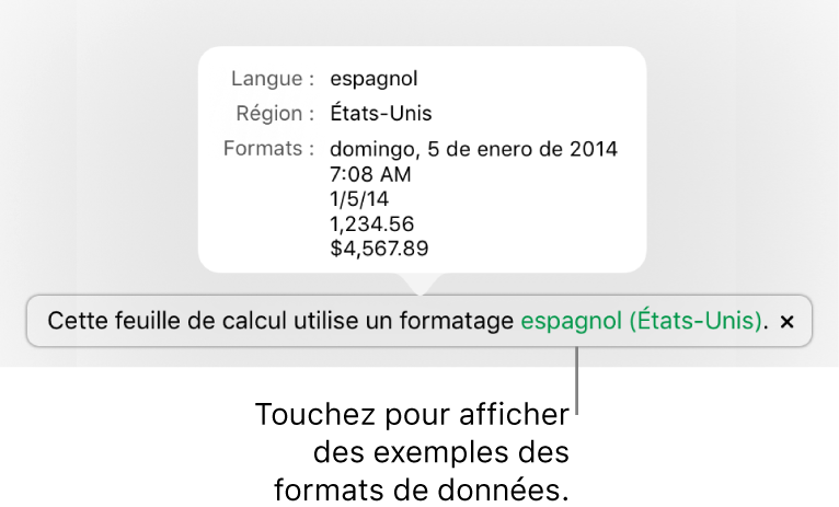 La notification du réglage de langue et de région différent affichant des exemples de la mise en forme correspondant à cette langue et à cette région.