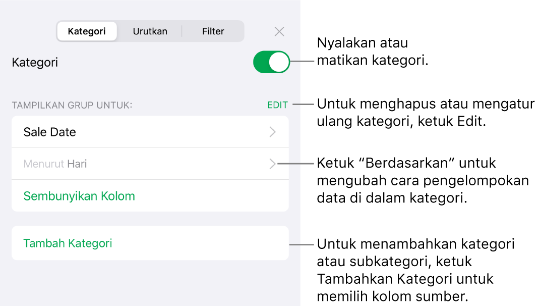 Menu Kategori untuk iPhone dengan pilihan untuk mematikan kategori, menghapus kategori, mengelompokkan ulang data, menyembunyikan kolom sumber, dan menambah kategori.