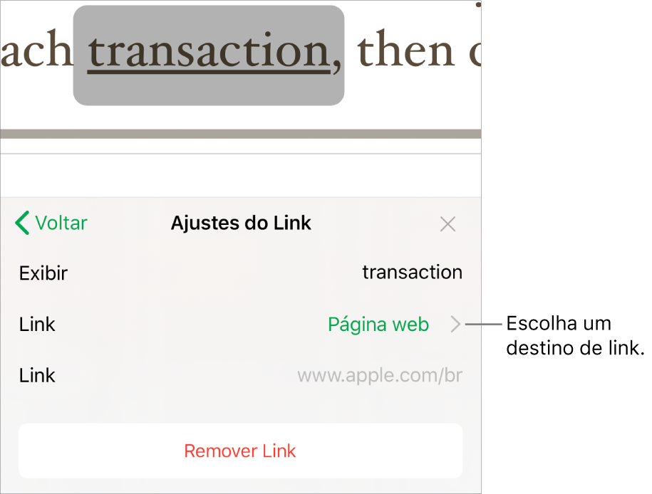 Controles de “Ajustes do Link” com o campo Exibir, Link (definido como Página web) e o campo Link. O botão Remover Link está na parte inferior.