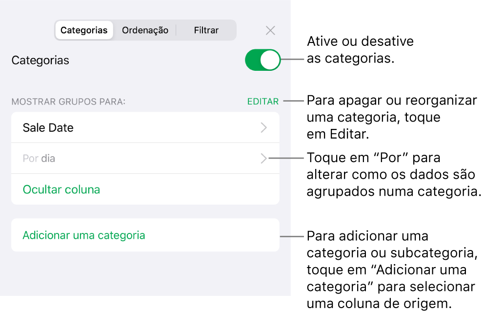 O menu Categorias para iPhone com opções para desativar as categorias, apagar categorias, reagrupar dados, ocultar uma coluna de origem e adicionar categorias.