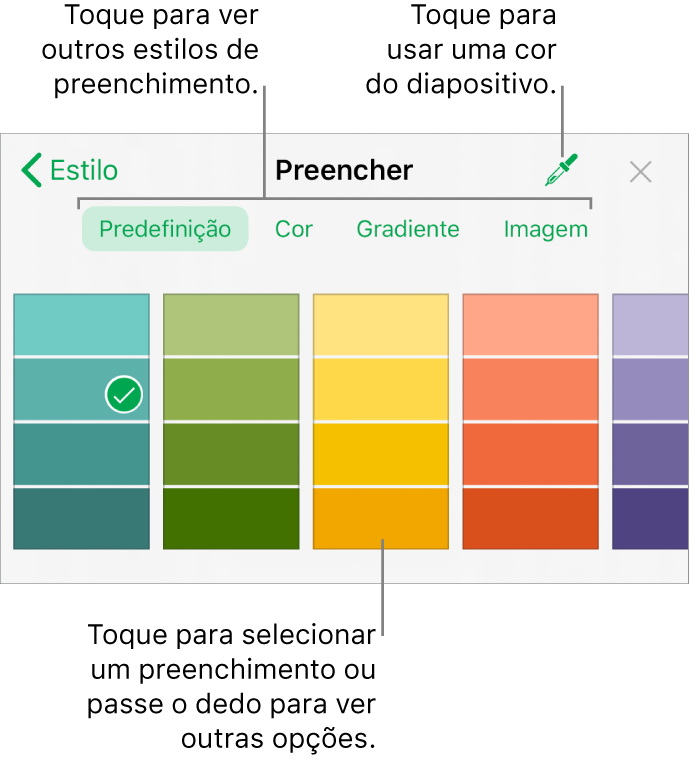 Opções de preenchimento no separador Estilo do botão Formatação.