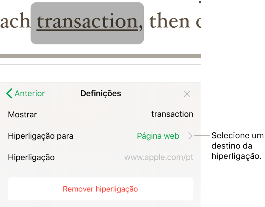 Os controlos de Definições, que contêm os campo Mostrar, “Ligar a” (com “Página Web” selecionada) e Hiperligação. O botão “Remover hiperligação” encontra-se na parte inferior.