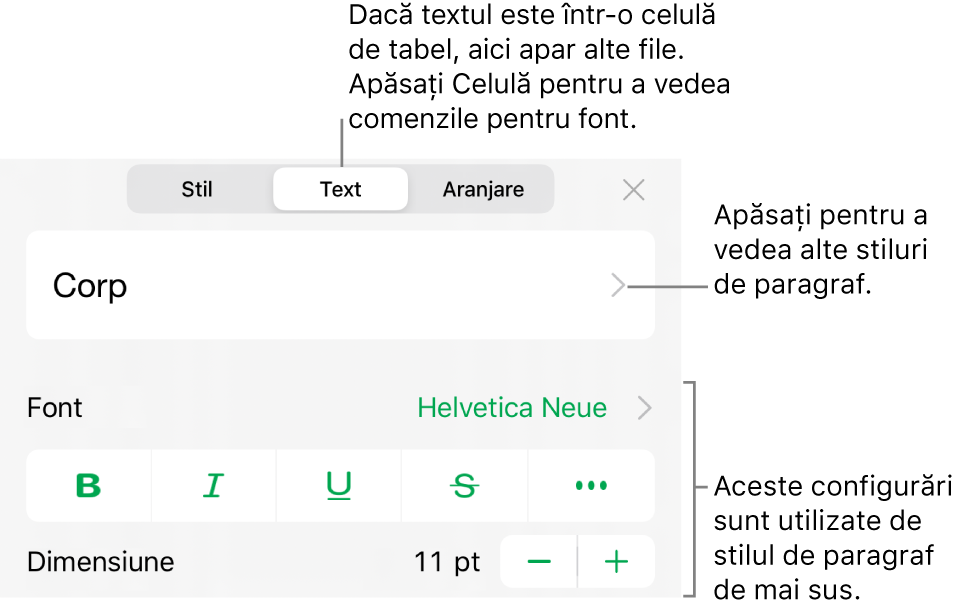 Meniul Format afișând comenzi de text pentru configurarea stilurilor, fonturilor, dimensiunii și culorii paragrafelor și caracterelor.