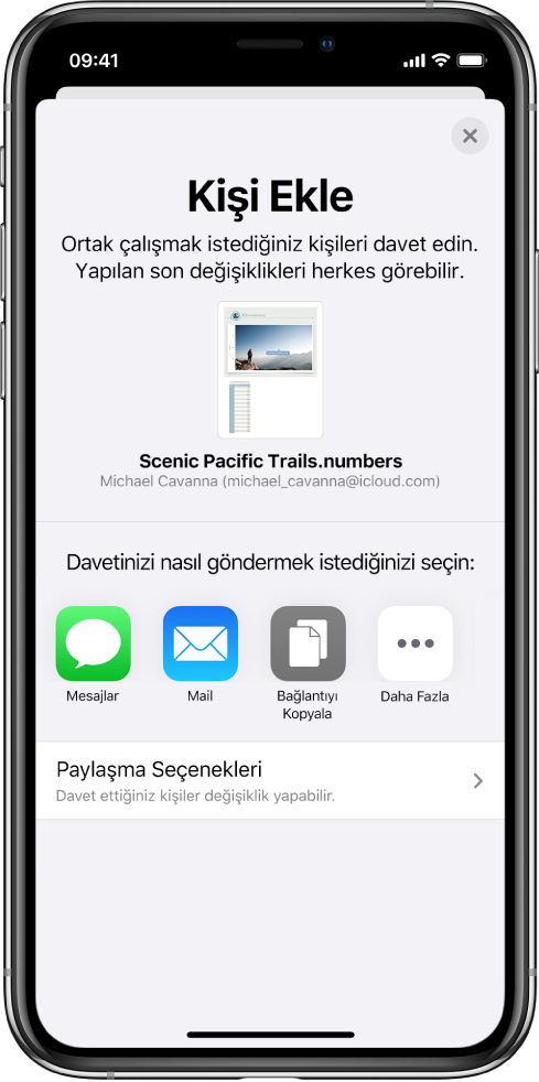 Kişi Ekle ekranı, paylaşılacak belgenin bir resmini gösteriyor. Onun altında Mesajlar, Mail, Bağlantıyı Kopyala ve Diğer de dahil olmak üzere çeşitli davet gönderme yolları için düğmeler var. En altta Paylaşma Seçenekleri düğmesi bulunuyor.