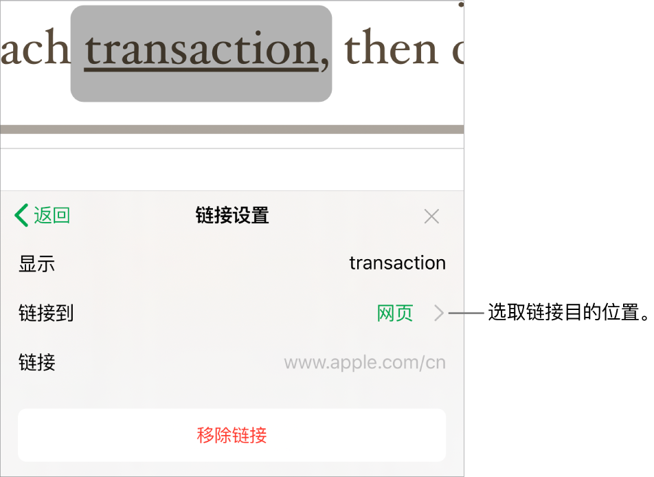 “链接设置”控制，其中包括“显示”、“链接至”（“网页”被选中）和“链接”栏。“移除链接”按钮位于底部。