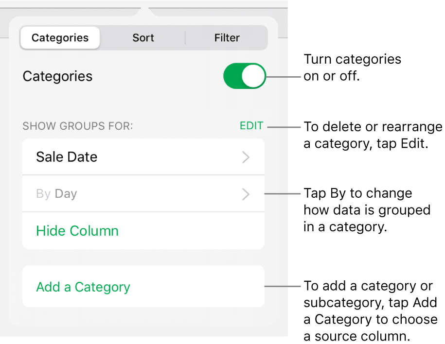 The Categories menu for iPad with options for turning categories off, deleting categories, regrouping data, hiding a source column and adding categories.
