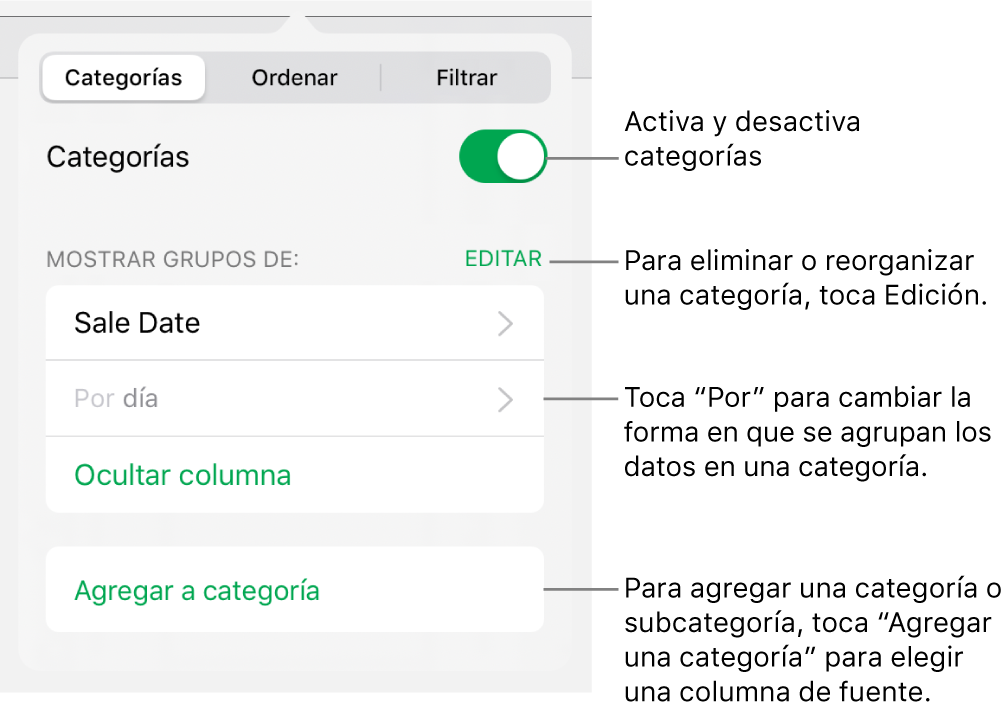 El menú Categorías del iPad con opciones para desactivar las categorías, eliminar categorías, reagrupar datos, ocultar una columna origen y agregar categorías.