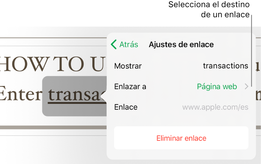 La ventana emergente “Ajustes de enlace” con un campo Mostrar, “Enlazar a” (ajustado a “Página web”) y Enlace. El botón “Eliminar enlace” aparece en la parte inferior.