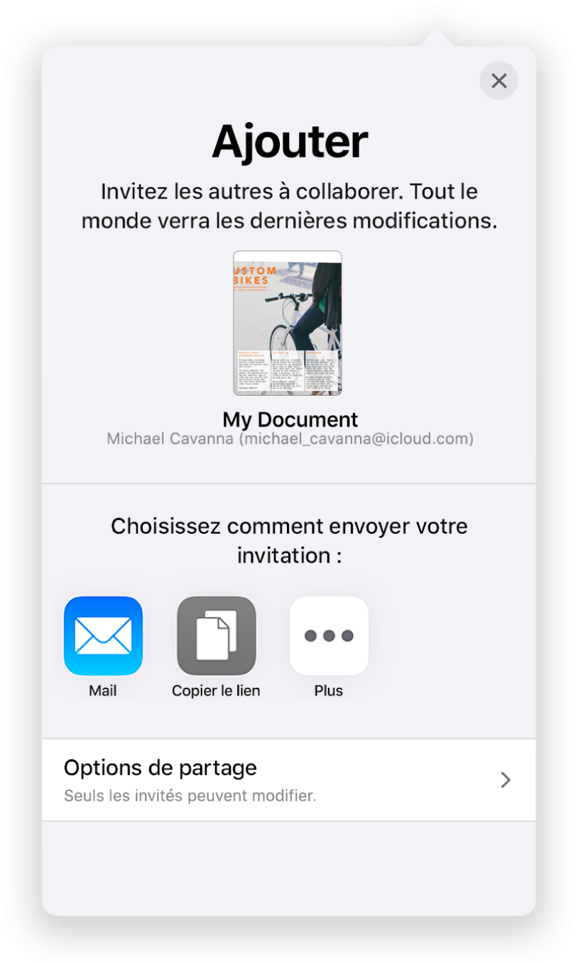 L’écran Ajouter des personnes avec l’image du document à partager. On trouve en dessous les différents boutons pour envoyer l’invitation, y compris Mail, Copier le lien et Plus. Le bouton Options de partage se trouve en bas.