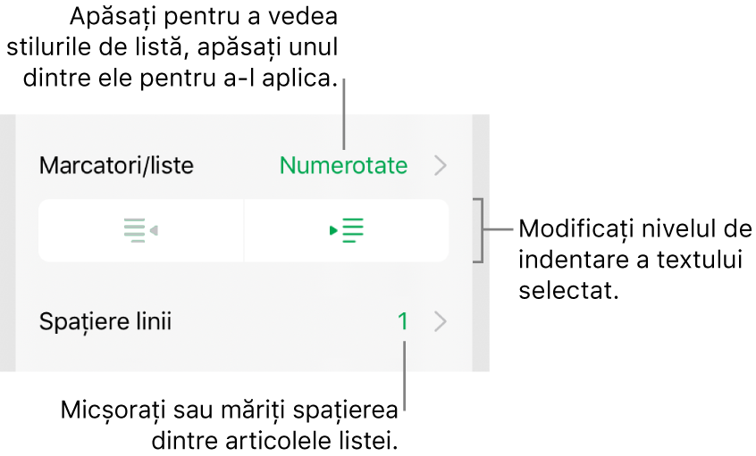 Secțiunea Marcatori/liste din comenzile Format cu explicații pentru Marcatori/liste, butoanele de indentare și indentare exterioară, precum și comenzile pentru spațierea liniilor.