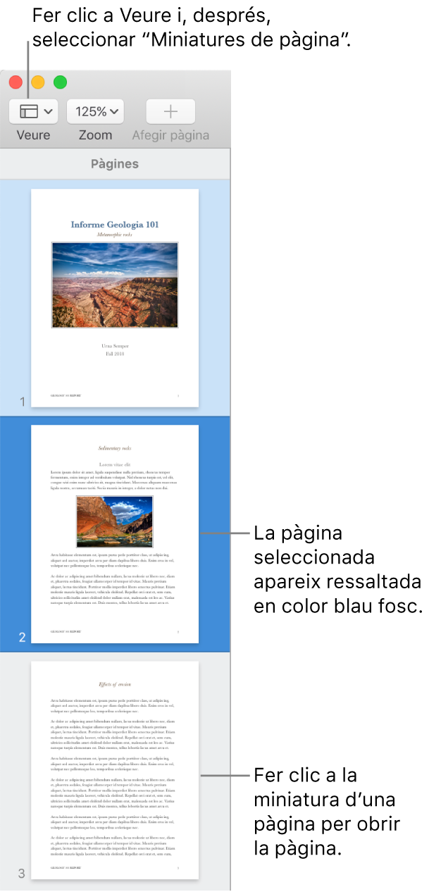 La barra lateral a la part esquerra de la finestra del Pages amb la vista “Miniatures de pàgina” oberta i una pàgina seleccionada que es mostra destacada en color blau fosc.