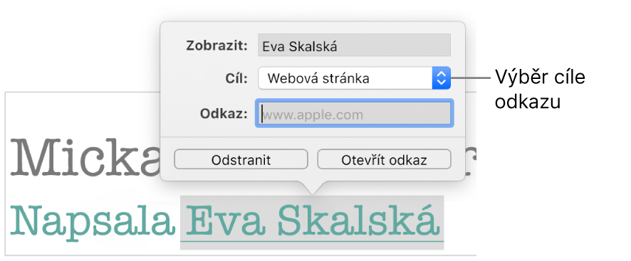 Překryvné okno Nastavení odkazu s polem Zobrazit, volbou Cíl (s nastavením Webová stránka) a s polem Odkaz. Ve spodní části překryvného okna se nacházejí tlačítka Odstranit a Otevřít odkaz.