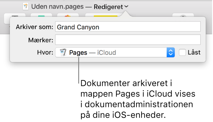 Dialogen Gem til et dokument med Pages – iCloud på lokalmenuen Hvor.